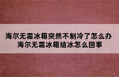 海尔无霜冰箱突然不制冷了怎么办 海尔无霜冰箱结冰怎么回事